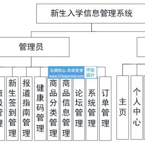 springboot新生入学报到系统java444