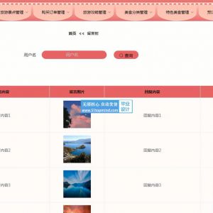 Vue+springboot新疆在线旅游网站java27