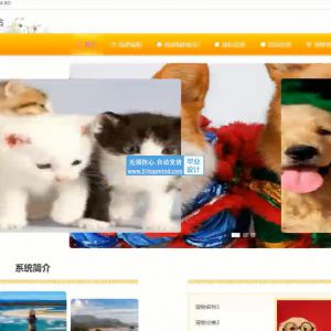 springboot社区流浪猫狗救助救援网站_4a4i2--论文vue