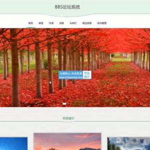 springboot校园BBS论坛系统论文w076f--vue