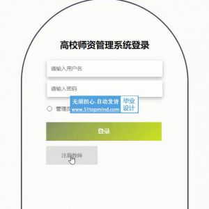 vue-springboot高校师资教师工资管理系统qn9fs