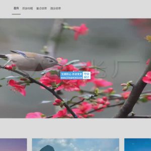 vue3基于SpringBoot的山西文旅网有论文