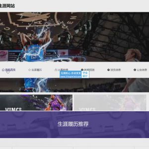 篮球NBA球星勒布朗詹姆斯球员生涯网站laravel