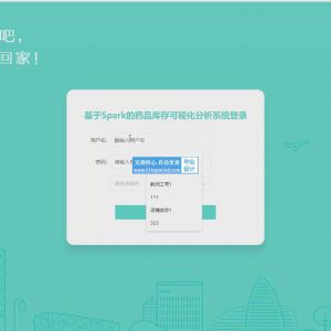 基于Spark的药品仓库进销存库存可视化分析系统