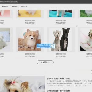 宠物领养系统 89i5918