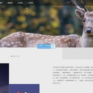 动物园管理系统 _9u4ese55