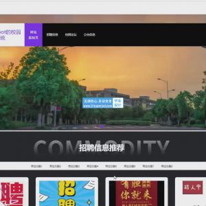 校园招聘求职系统_3phv56u0