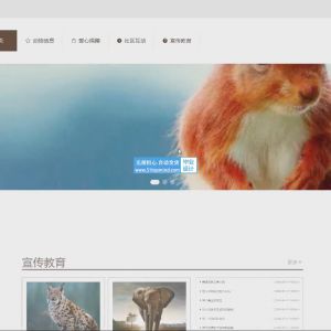 流浪动物救助志愿者管理系统_bmb4r260