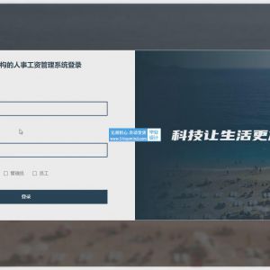 人事工资管理系统 员工绩效考科福利系统
