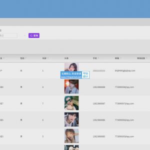 springboot基于vue的在线招聘平台设计与实现_