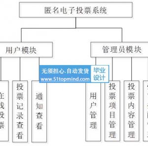 ssm的匿名电子投票