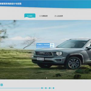 新能源汽车租赁管理系统 现_rtg8b209